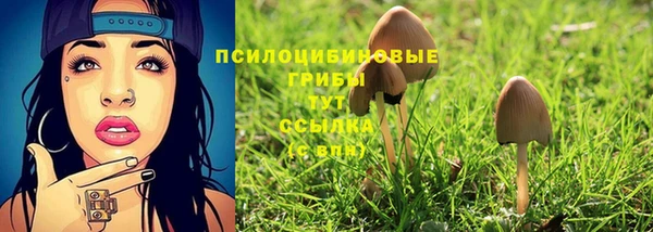 PSILOCYBIN Сосновка