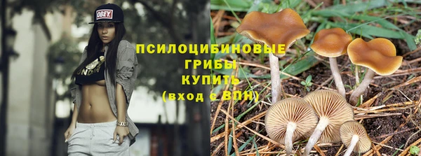 PSILOCYBIN Сосновка