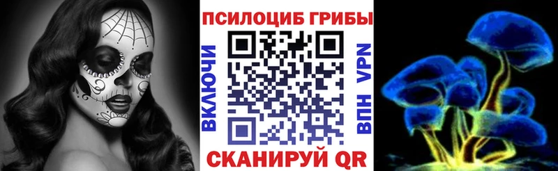Купить Спасск Псилоцибиновые грибы мицелий